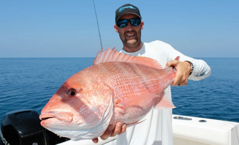 Person on a boat holding a large pink fish with the ocean and clear sky in the background.