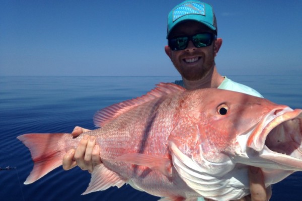 American Red Snapper Limit